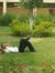 Hossam ...