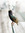 Carolin (carlandlouise) | 3 comments