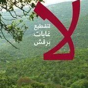 أمل العمري