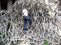 Balu Rathod