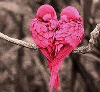 محمد النمرسي