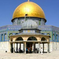 قتيبة برقاوي