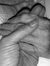 Norma T...