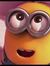 Faraz N...