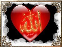 الماستر ربيعة