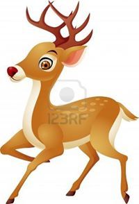 ريم عبدالمحسن