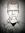 Vincent...