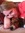 Katie Hayward