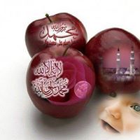 زهرة المدائن