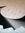 Lisa Boone | 12 comments