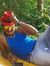 Sumit M...