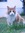 Kira (fieitty) | 1 comments