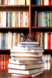 The Next Chapter Book Blog