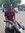 Satish ...