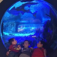 Brook Flanagan smith