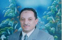 عزة البلتاجي