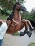 Nikhil ...