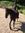 Lucy Sadler | 2 comments