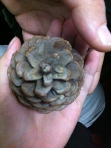 غروب السماء