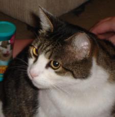 Karen (BaronessBookTrove)