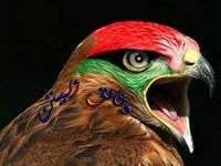 وثائق زليتن