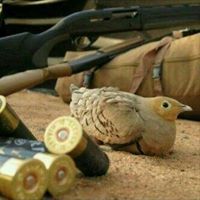 مشبب القحطاني