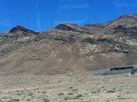 تيسير طنطور