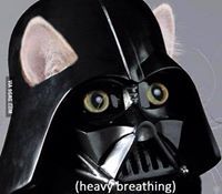 Akarapone Tonsomboon