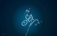 Reem Amr