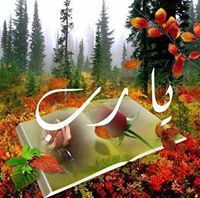 وفاء الياسمين