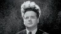 Valerio Vigino