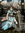 Madeline | 2 comments