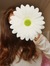 Hatice Bolat