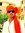 Rahil S...