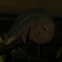 Katy Blackmore powell