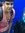 Alberto (alberto_garcia) | 4 comments