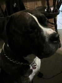 Kelly Lader-petterson