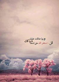 ابو عبد