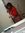 Ammie S...