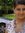Nidhi S...