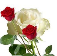 Revathi Pushpanathan