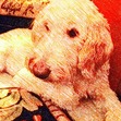 Carly