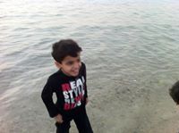 محمد النفيعي