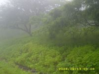 عبدالله محمد الربيعان