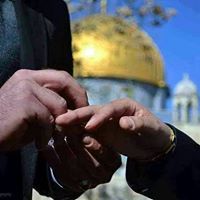 تسنيم الأحمدى