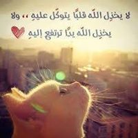 Shimaa Abo al hassan
