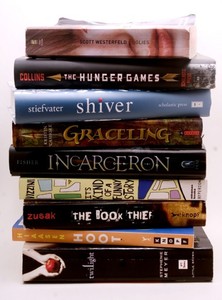 YA Book Recommendations