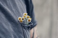 Antimony M7md Mostafa