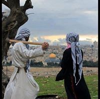 Esra'a Qasem