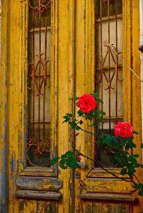 Iılılph Dooiılıl